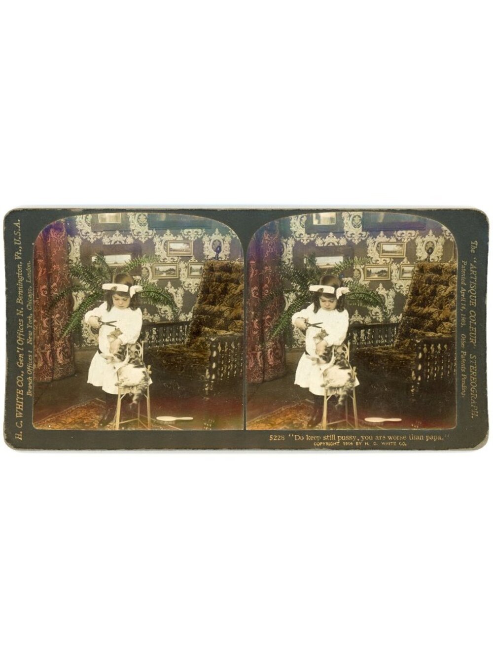 Antique 1904 HC White Stereoview Little Girl Cutting Cat Hair 5228 Stereograph